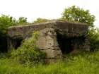 photo10_small.jpg