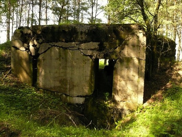 photo12.jpg