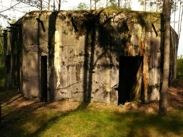 photo15.jpg