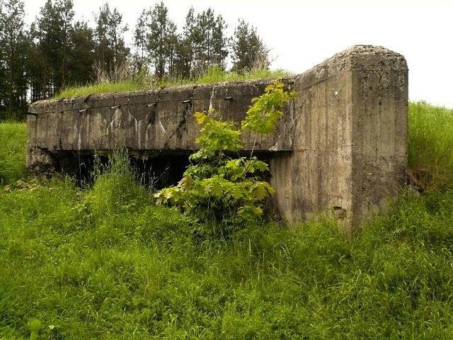 photo4.jpg