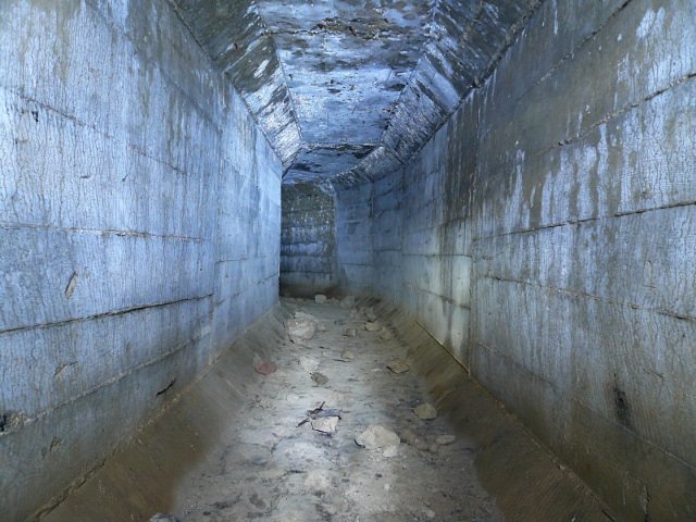 photo7.jpg