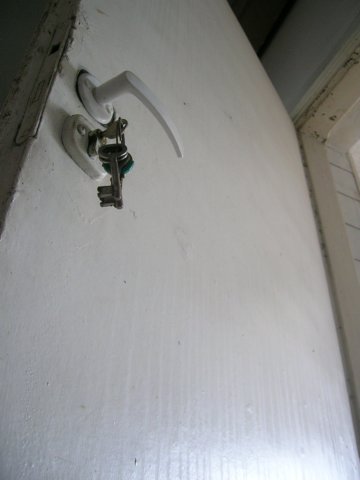 photo20.jpg