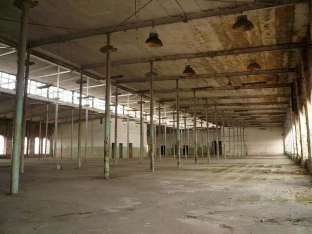 photo4.jpg