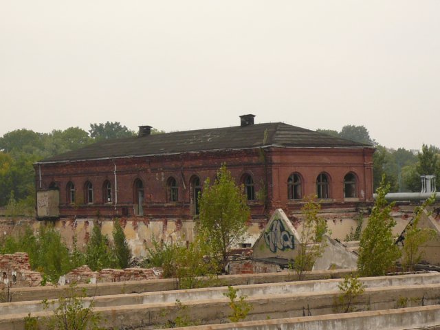 photo.jpg
