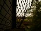 photo5_small.jpg