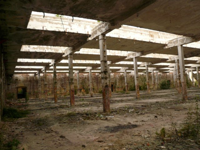 photo8.jpg