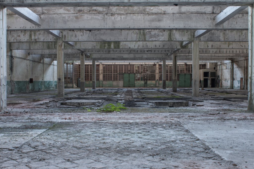 photo.jpg