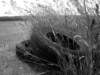 photo9_small.jpg