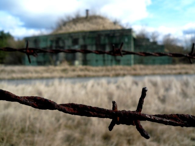 photo10.jpg