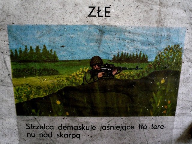 photo19.jpg