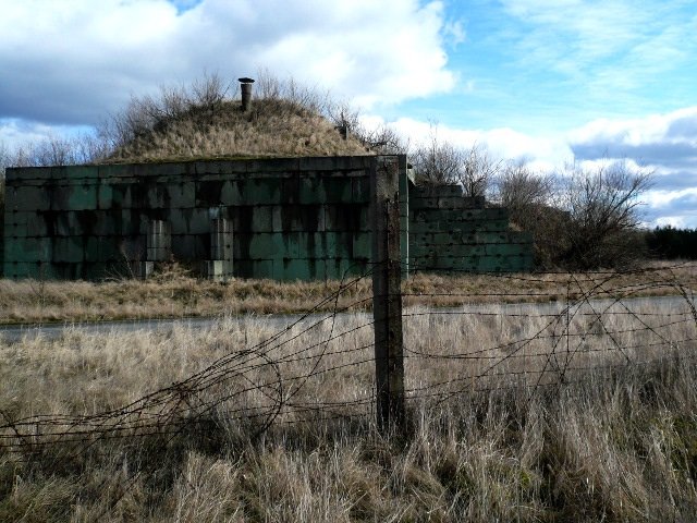 photo20.jpg
