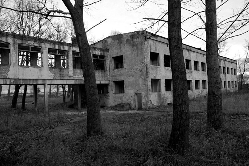photo.jpg