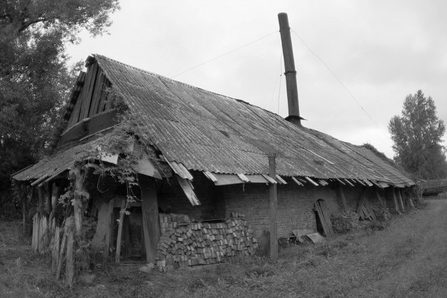photo.jpg