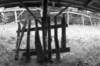 photo5_small.jpg