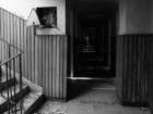 photo5_small.jpg