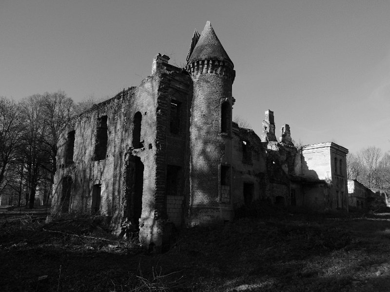 photo.jpg