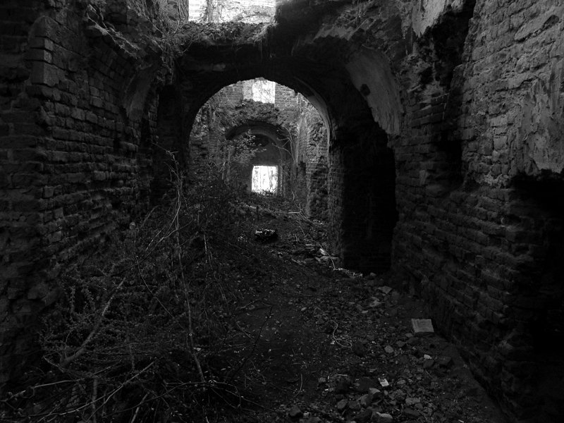 photo4.jpg