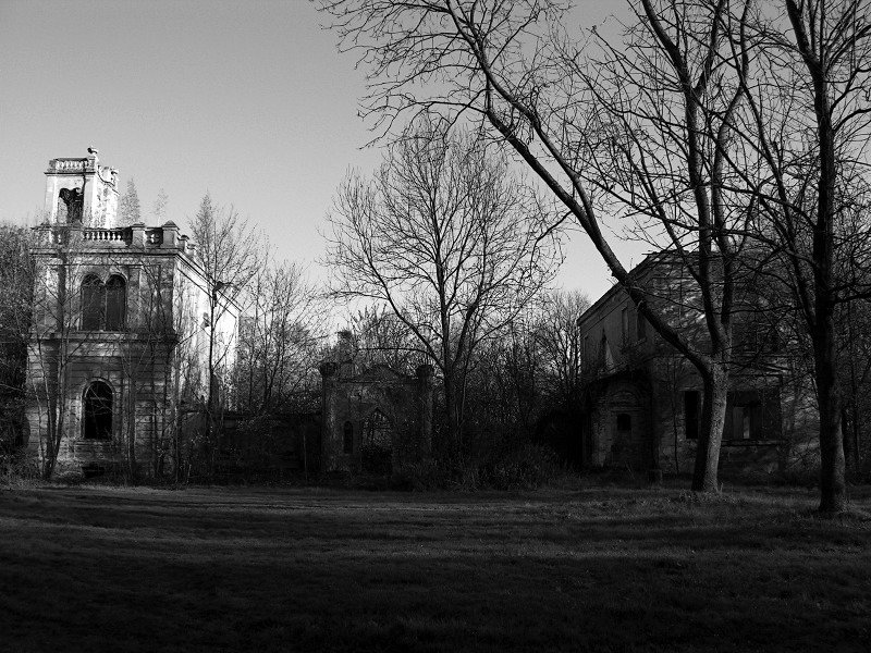 photo.jpg