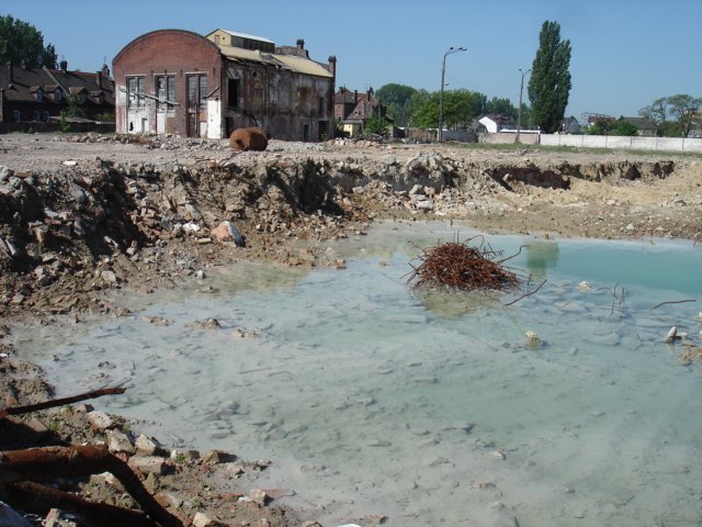 photo11.jpg