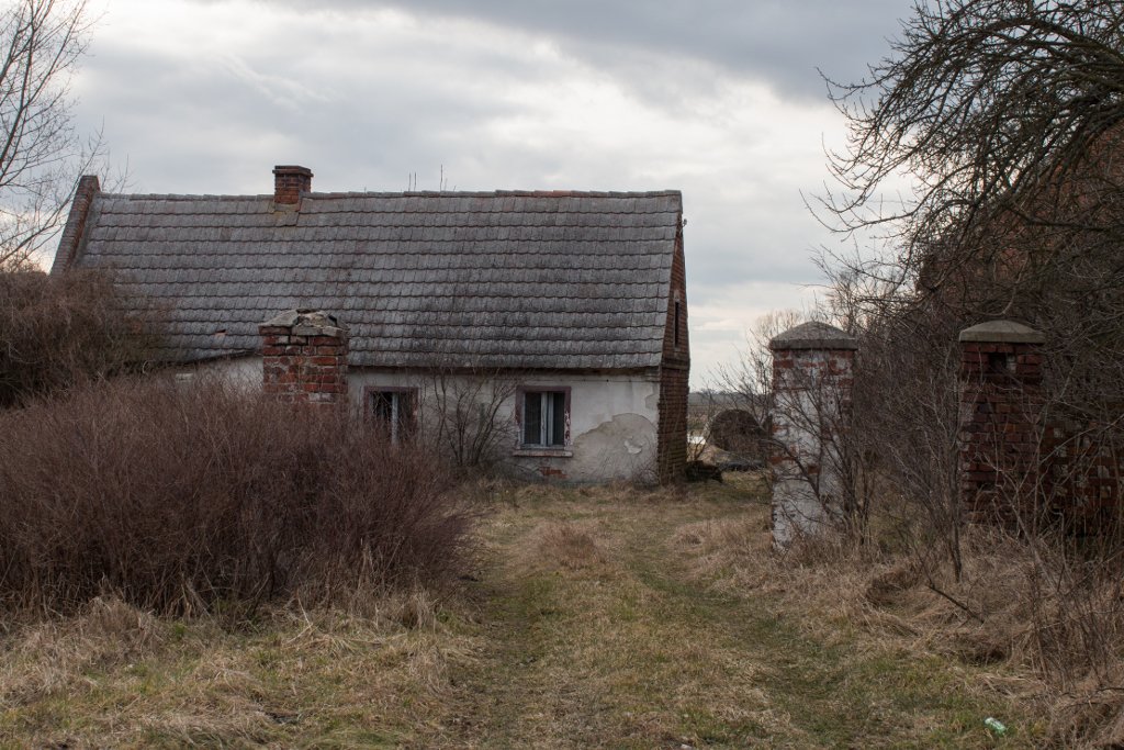 photo.jpg