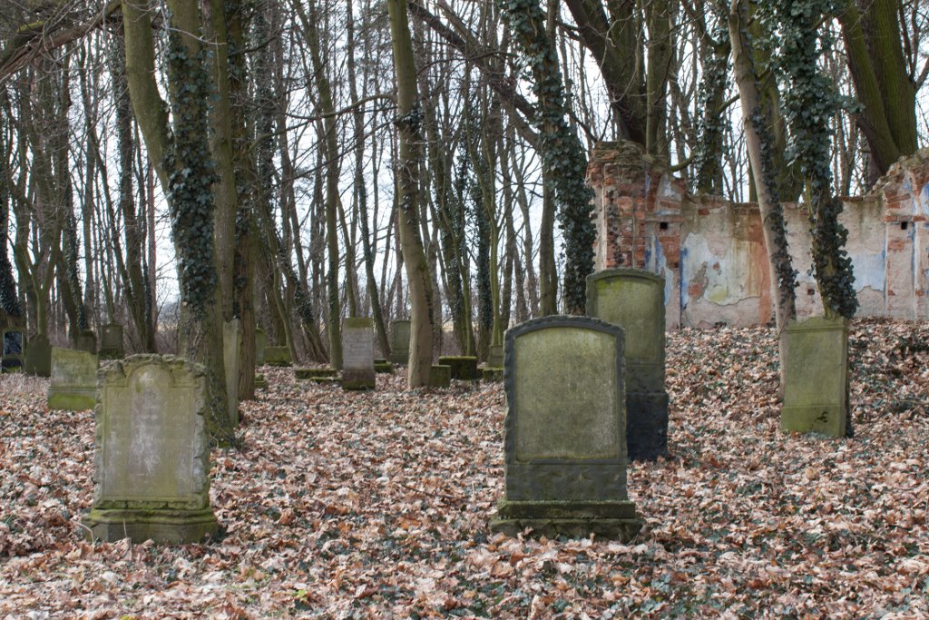 photo4.jpg