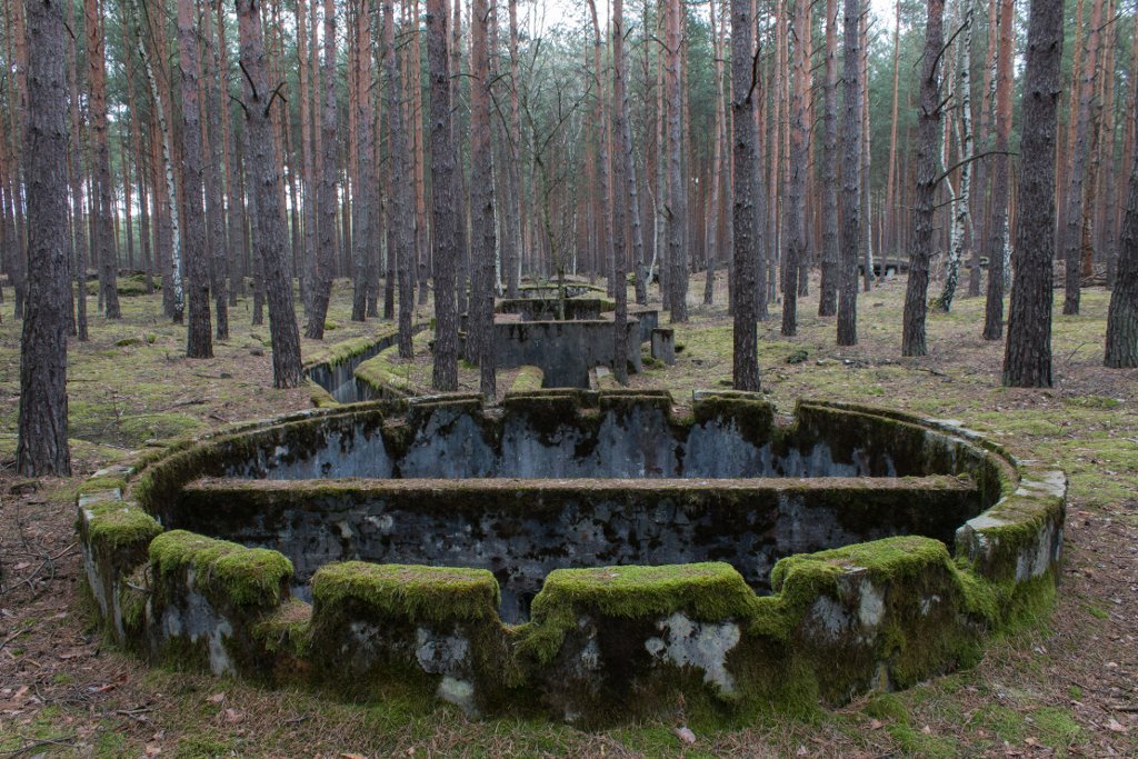 photo8.jpg