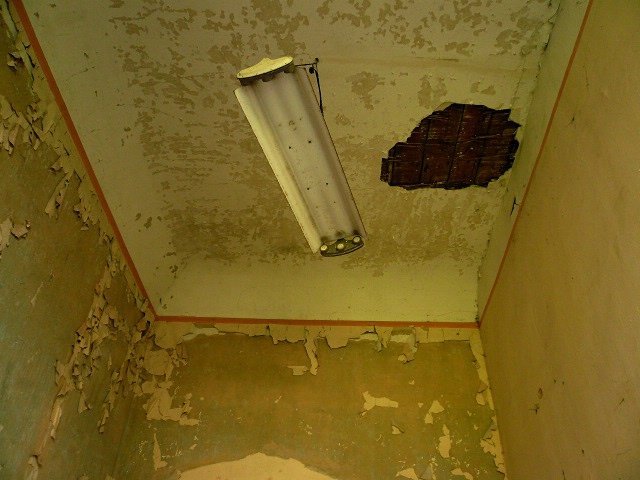 photo5.jpg