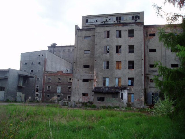 photo.jpg