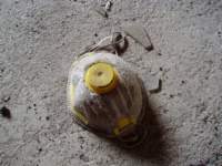 photo10_small.jpg