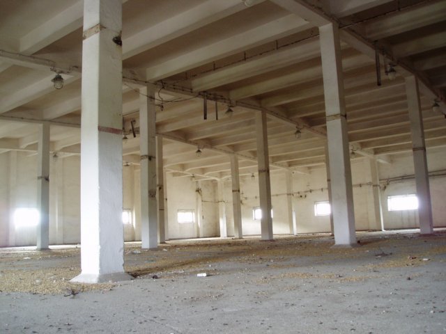 photo4.jpg