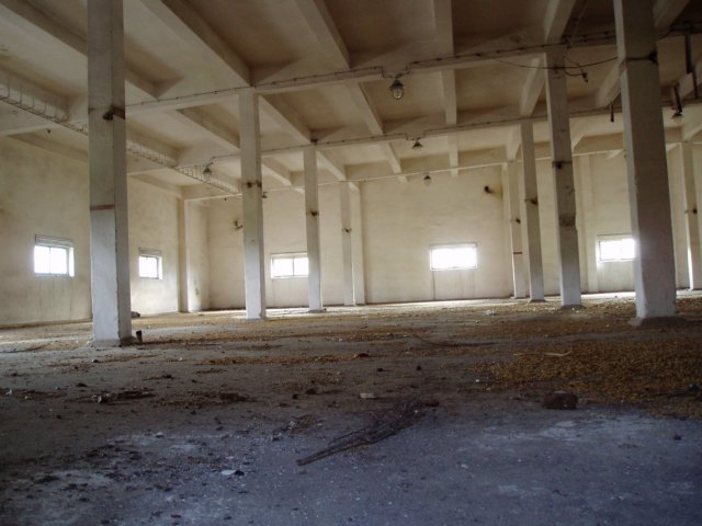 photo6.jpg
