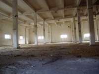 photo6_small.jpg
