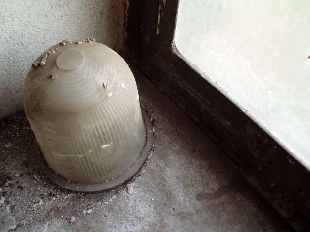 photo9.jpg