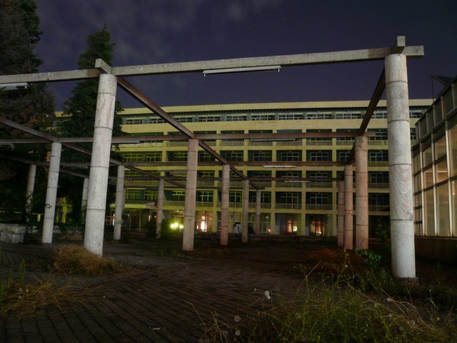 photo.jpg
