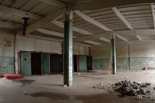 photo4.jpg