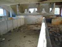 photo6_small.jpg