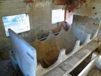 photo7_small.jpg