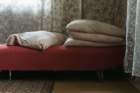 photo5_small.jpg