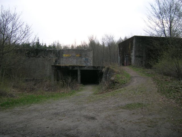 photo.jpg