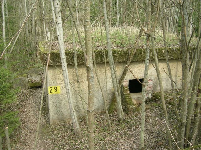 photo12.jpg