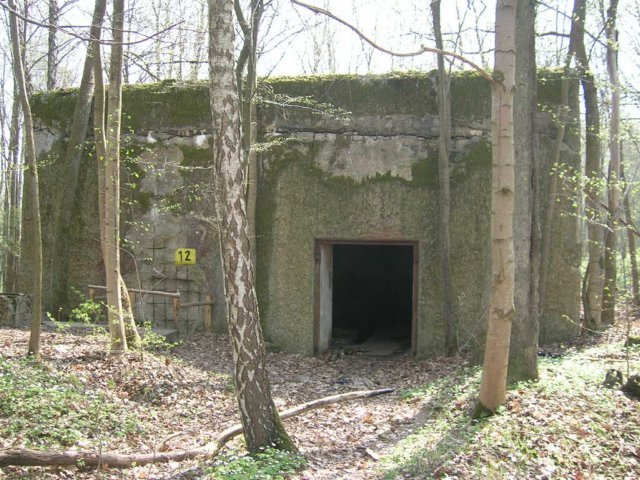 photo7.jpg