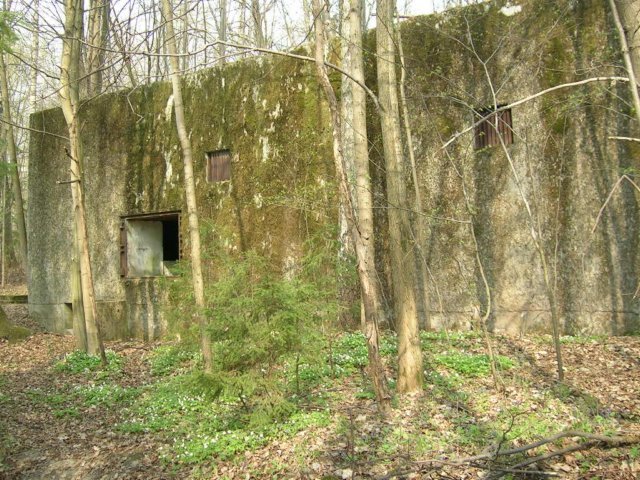 photo9.jpg