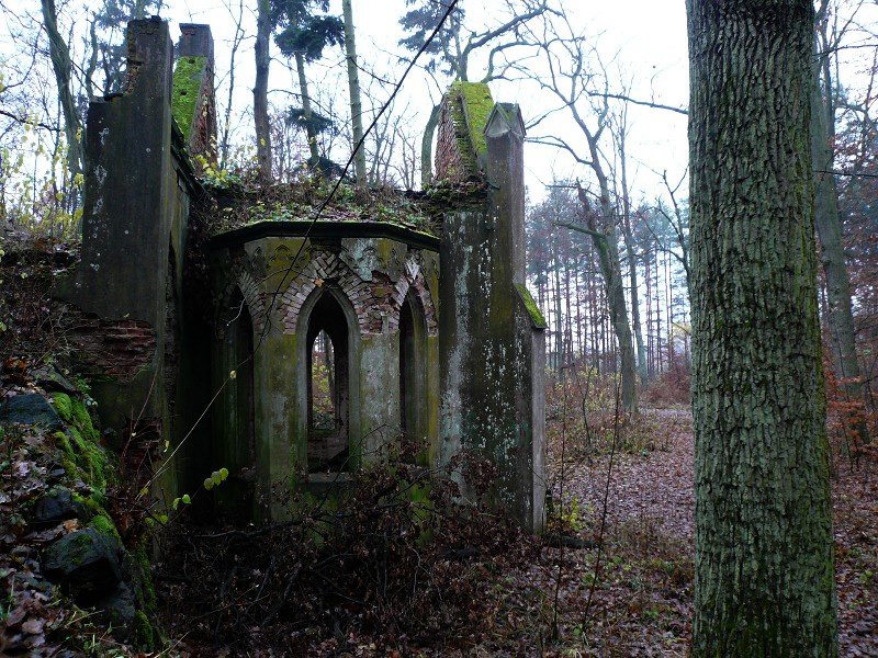 photo4.jpg