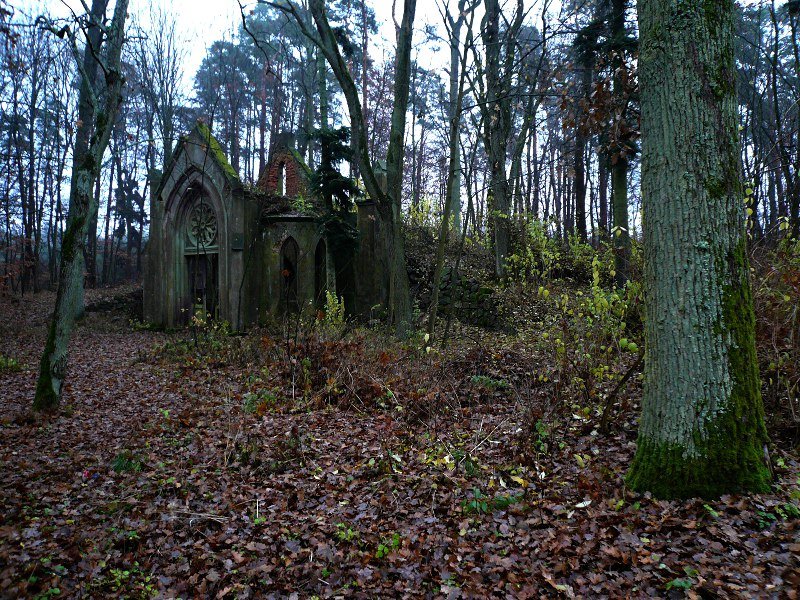 photo9.jpg
