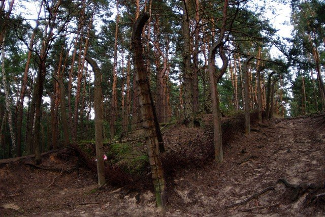 photo.jpg