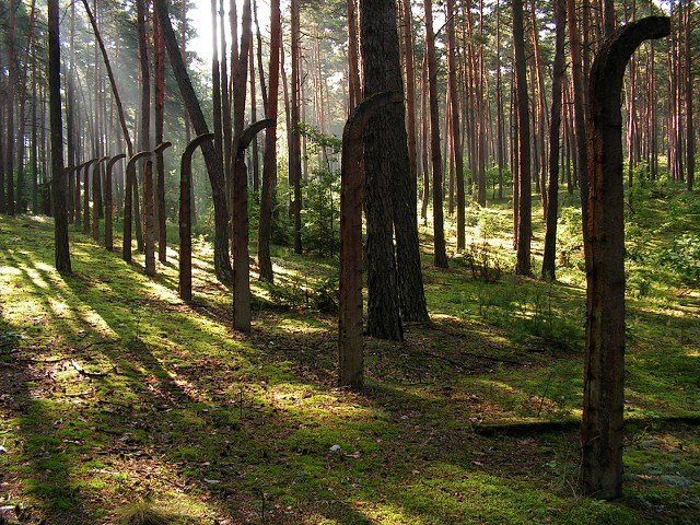 photo.jpg