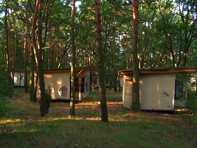 photo.jpg