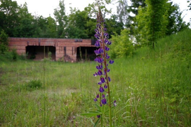 photo.jpg