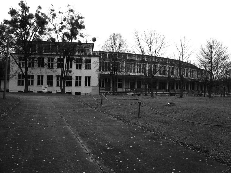 photo.jpg