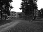 photo8_small.jpg